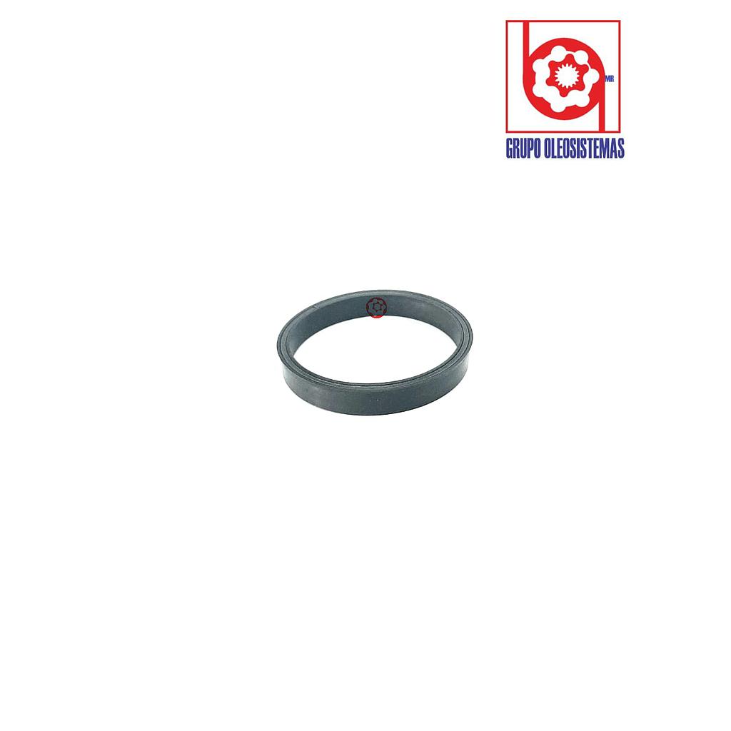POLYSEAL TIPO B12502.250-375