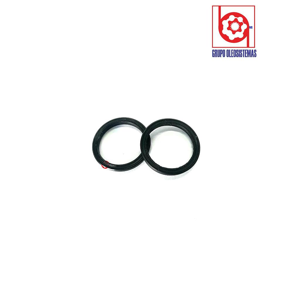 POLYSEAL TIPO B12501.375-187