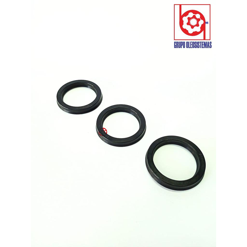POLYSEAL TIPO B25001.750-312