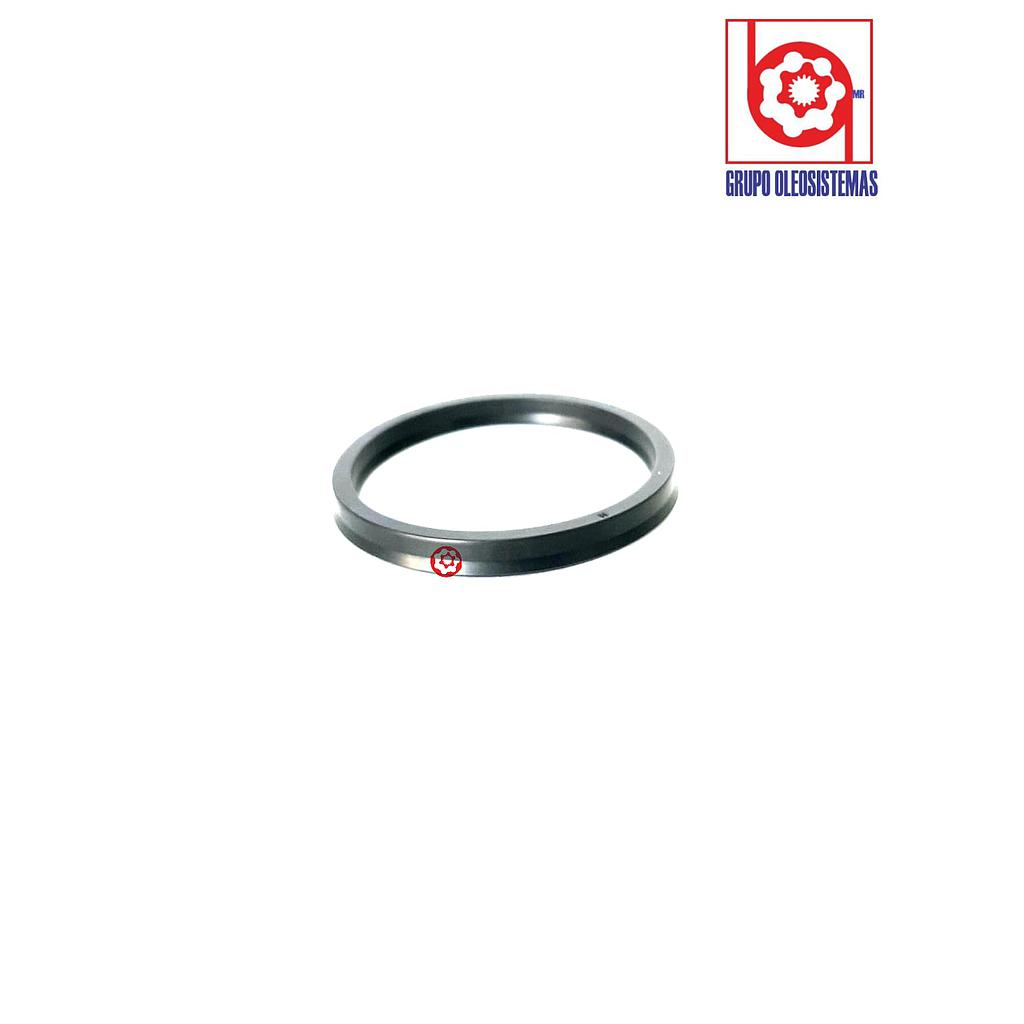 POLYSEAL TIPO B18702.750-312